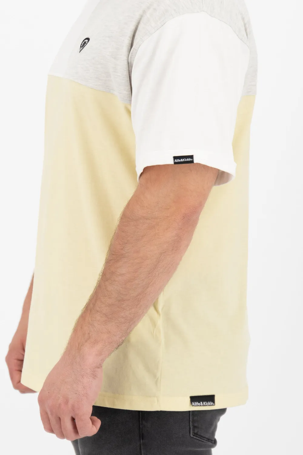 Alife & Kickin BennyAK A T-Shirt beige Colorblock